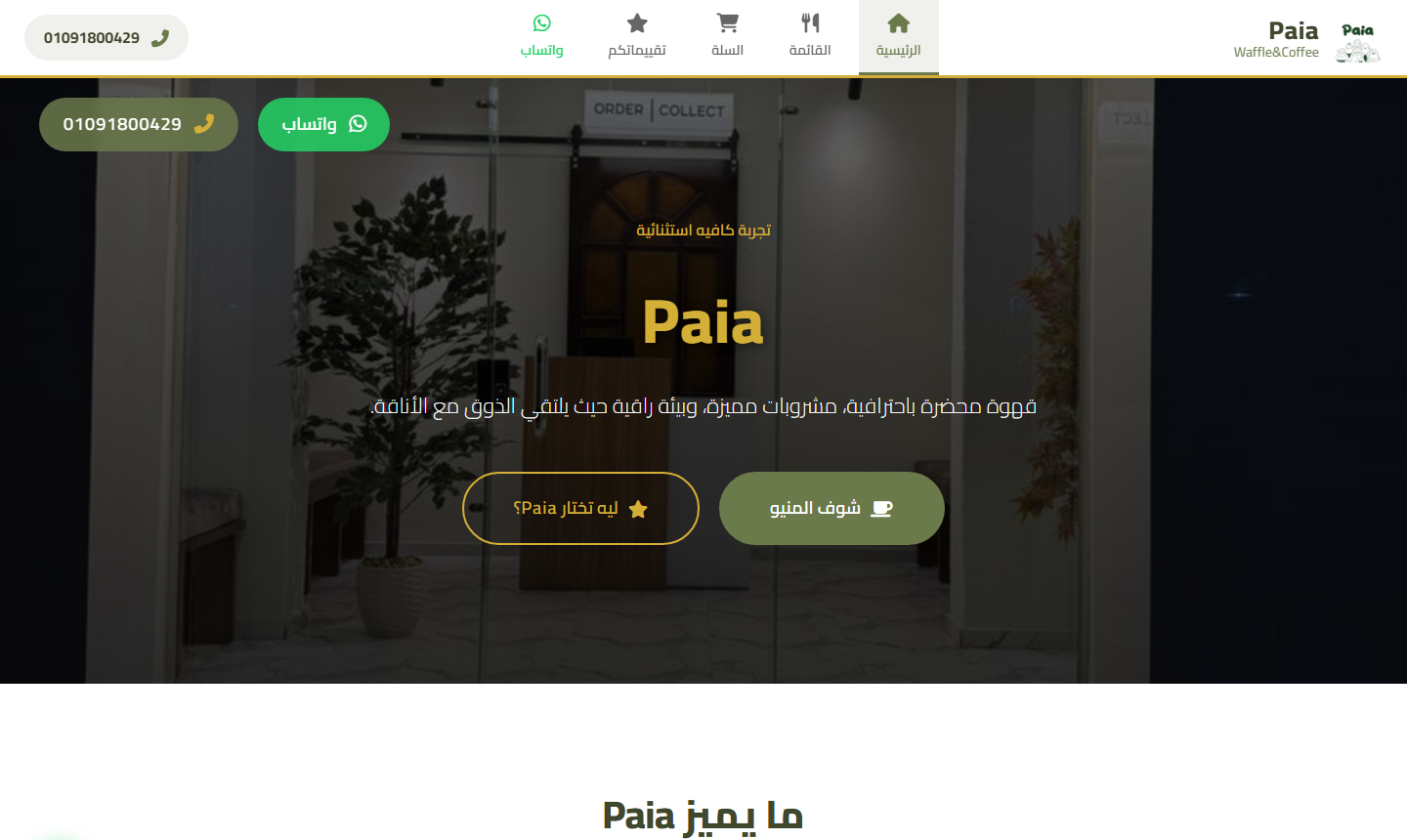 PAIA Test website screenshot